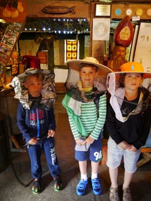  Grafika #1: ZIELONA LEKCJA W PASIECE WĘDROWNA BARĆ W KRZEMIENICY grafika