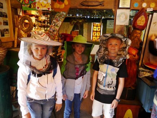  Grafika #3: ZIELONA LEKCJA W PASIECE WĘDROWNA BARĆ W KRZEMIENICY grafika