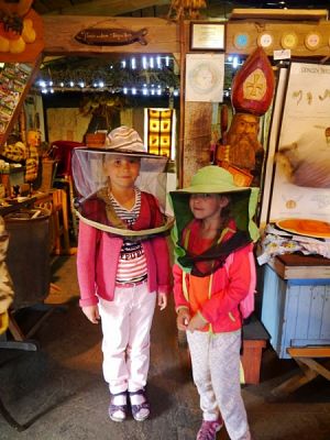  Grafika #5: ZIELONA LEKCJA W PASIECE WĘDROWNA BARĆ W KRZEMIENICY grafika