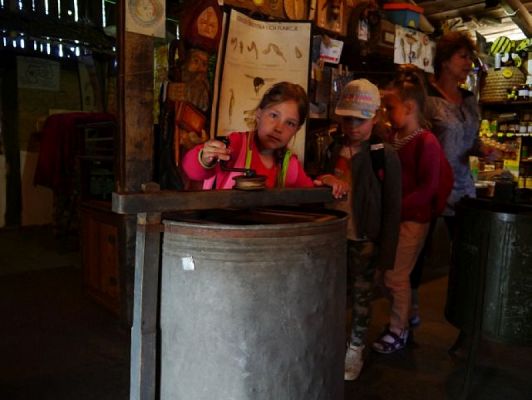  Grafika #6: ZIELONA LEKCJA W PASIECE WĘDROWNA BARĆ W KRZEMIENICY grafika