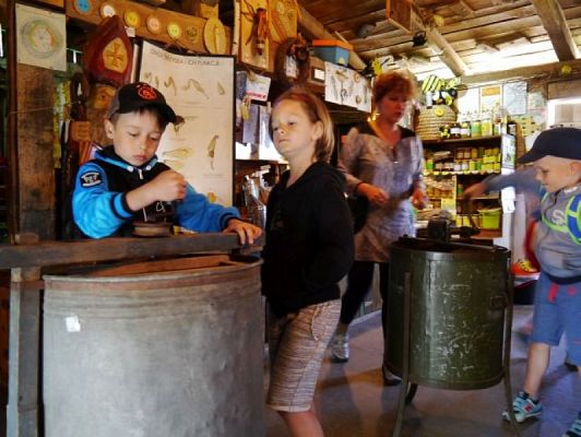  Grafika #7: ZIELONA LEKCJA W PASIECE WĘDROWNA BARĆ W KRZEMIENICY grafika