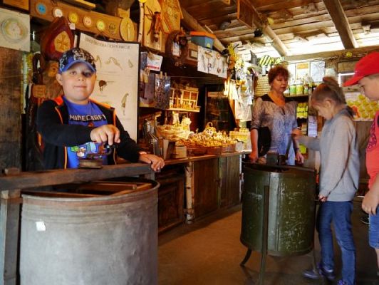 Grafika #8: ZIELONA LEKCJA W PASIECE WĘDROWNA BARĆ W KRZEMIENICY grafika