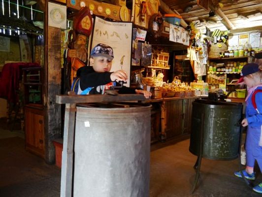  Grafika #10: ZIELONA LEKCJA W PASIECE WĘDROWNA BARĆ W KRZEMIENICY grafika