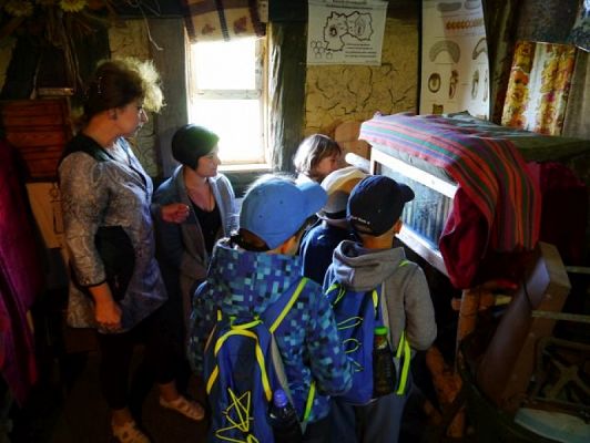  Grafika #11: ZIELONA LEKCJA W PASIECE WĘDROWNA BARĆ W KRZEMIENICY grafika