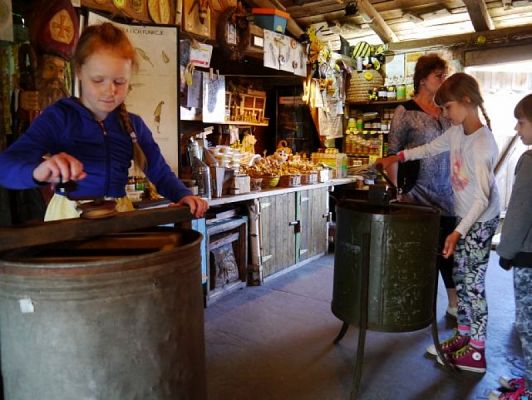  Grafika #12: ZIELONA LEKCJA W PASIECE WĘDROWNA BARĆ W KRZEMIENICY grafika