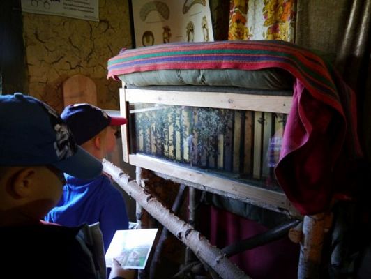  Grafika #13: ZIELONA LEKCJA W PASIECE WĘDROWNA BARĆ W KRZEMIENICY grafika