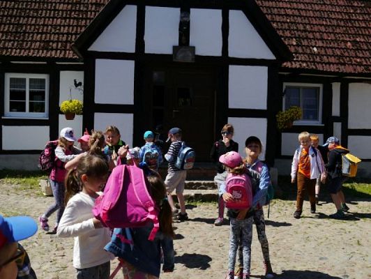  Grafika #14: ZIELONA LEKCJA W PASIECE WĘDROWNA BARĆ W KRZEMIENICY grafika