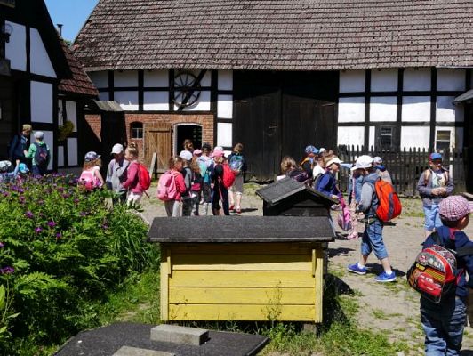  Grafika #15: ZIELONA LEKCJA W PASIECE WĘDROWNA BARĆ W KRZEMIENICY grafika