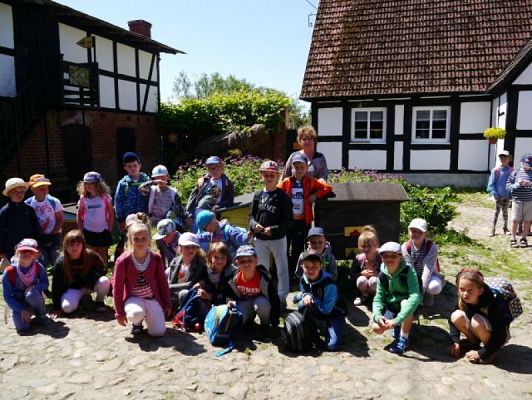  Grafika #16: ZIELONA LEKCJA W PASIECE WĘDROWNA BARĆ W KRZEMIENICY grafika