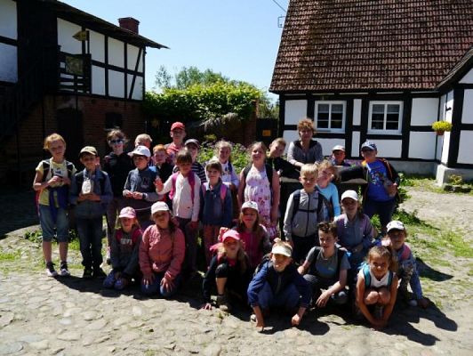  Grafika #17: ZIELONA LEKCJA W PASIECE WĘDROWNA BARĆ W KRZEMIENICY grafika