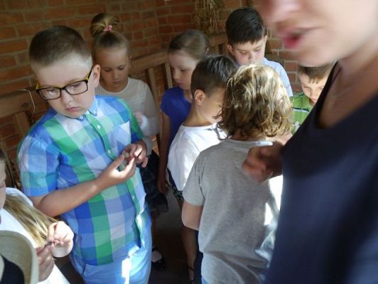  Grafika #7: BASZTA NR 27 ZDOBYTA! grafika