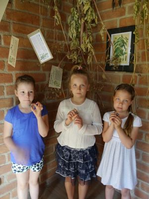  Grafika #9: BASZTA NR 27 ZDOBYTA! grafika