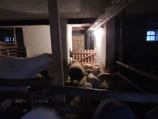  Grafika #20: Wycieczka klas drugich do Swołowa grafika