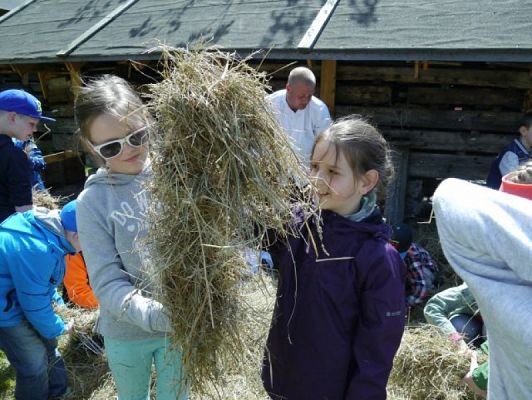  Grafika #9: WSZYSTKO PRACĄ ZDOBYĆ TRZEBA… – wycieczka klas drugich do Muzeum Wsi Słowińskiej w Klukach grafika