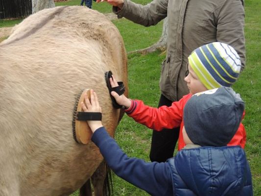  Grafika #7: 100 LAT – ZATRZYMANY CZAS czyli jak dawniej wyglądało życie w zagrodzie wiejskiej grafika
