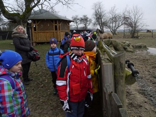  Grafika #10: 100 lat - Zatrzymany czasczyli wycieczka do Swołowa grafika