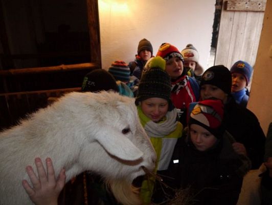  Grafika #12: 100 lat - Zatrzymany czasczyli wycieczka do Swołowa grafika