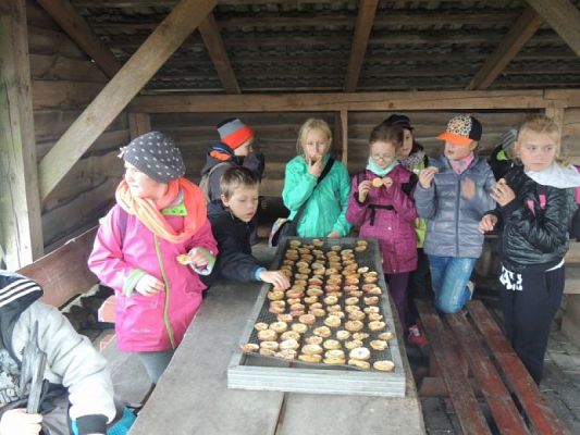  Grafika #16: Wycieczka do Muzeum Zachodnio - Kaszubskiego w Bytowie grafika