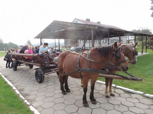  Grafika #4: Wycieczka do Runowa grafika