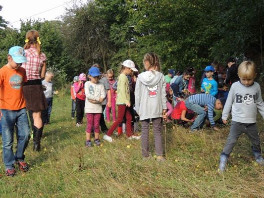  Grafika #6: Wycieczka do Runowa grafika