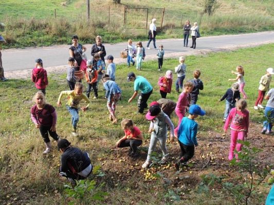  Grafika #7: Wycieczka do Runowa grafika