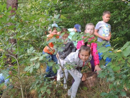  Grafika #8: Wycieczka do Runowa grafika