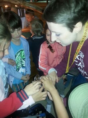  Grafika #0: ATAK ZWIERZĄT NA TUCHLINO! grafika