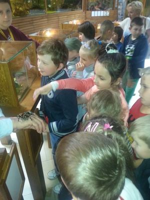  Grafika #2: ATAK ZWIERZĄT NA TUCHLINO! grafika