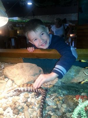  Grafika #4: ATAK ZWIERZĄT NA TUCHLINO! grafika