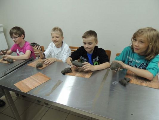  Grafika #1: WARSZTATY W MUZEUM MIEJSKIM grafika