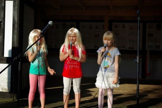  Grafika #6: IX PRZEGLĄD DZIECIĘCO - MŁODZIEŻOWYCH ZESPOŁÓW REGIONALNYCH "BURCZYBAS 2013" grafika