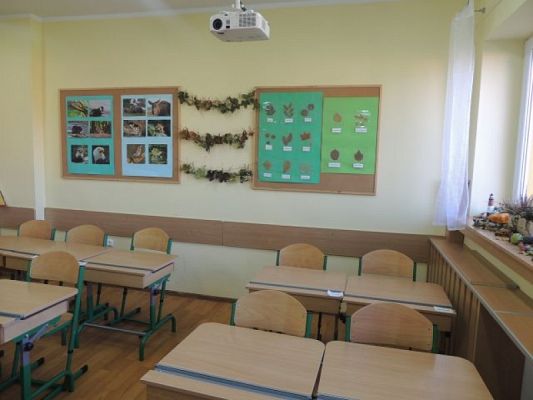  Grafika #3: Sala nr 8 grafika