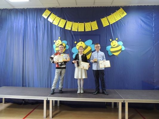  Grafika #2: Spelling Bee dla uczniów klas II – VIII grafika