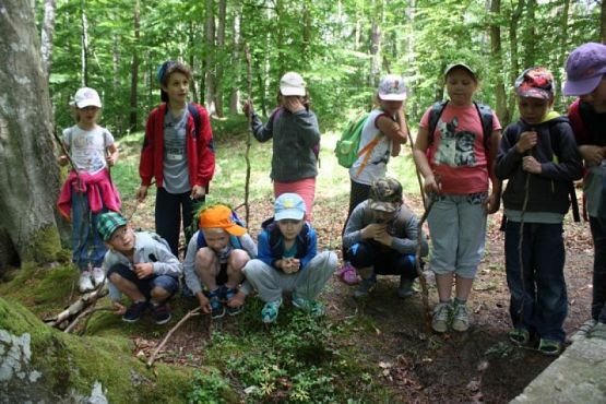 Grafika #0: BAZA OBOZOWA "RÓŻA WIATRÓW" W SZKLANEJ HUCIE grafika