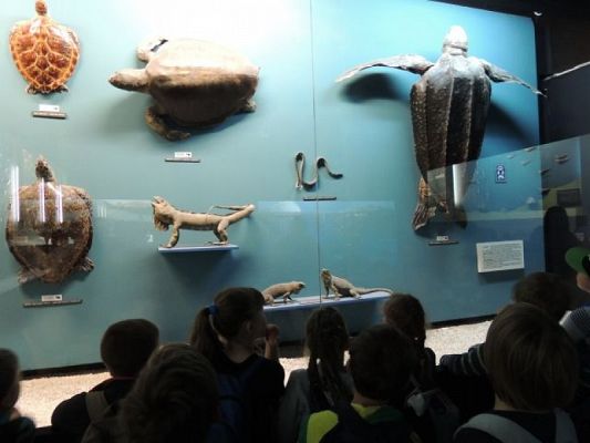  Grafika #6: WYCIECZKA DO AKWARIUM GDYŃSKIEGO grafika