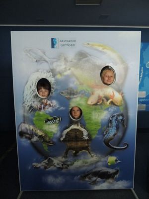  Grafika #8: WYCIECZKA DO AKWARIUM GDYŃSKIEGO grafika