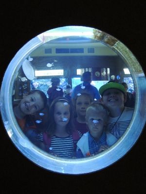  Grafika #11: WYCIECZKA DO AKWARIUM GDYŃSKIEGO grafika