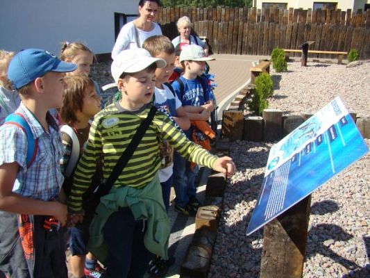 Grafika #3: FAUNA I FLORA MORZA BAŁTYCKIEGO - WYCIECZKA KLASY IA DO SARBSKA I ŁEBY grafika