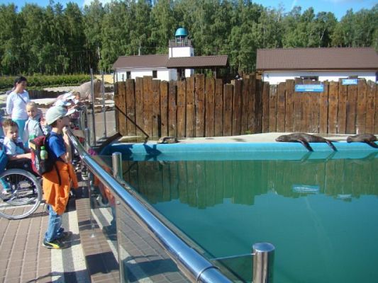 Grafika #4: FAUNA I FLORA MORZA BAŁTYCKIEGO - WYCIECZKA KLASY IA DO SARBSKA I ŁEBY grafika