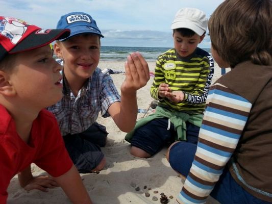 Grafika #5: FAUNA I FLORA MORZA BAŁTYCKIEGO - WYCIECZKA KLASY IA DO SARBSKA I ŁEBY grafika