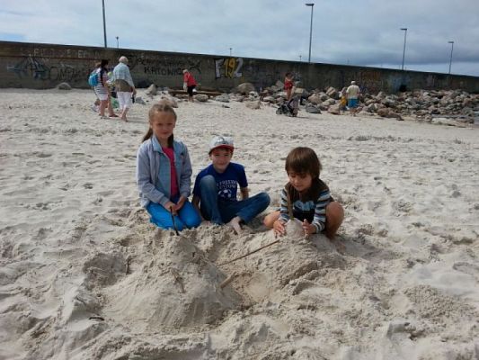 Grafika #6: FAUNA I FLORA MORZA BAŁTYCKIEGO - WYCIECZKA KLASY IA DO SARBSKA I ŁEBY grafika