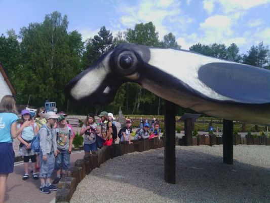 Grafika #2: WYCIECZKA DO FOKARIUM W SARBSKU grafika