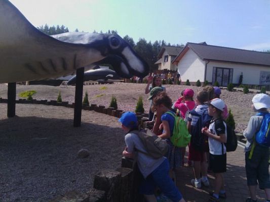 Grafika #1: WYCIECZKA DO FOKARIUM W SARBSKU grafika