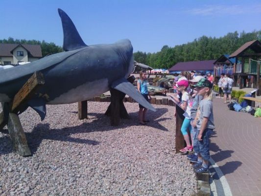 Grafika #5: WYCIECZKA DO FOKARIUM W SARBSKU grafika