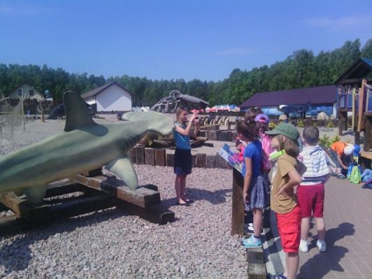 Grafika #4: WYCIECZKA DO FOKARIUM W SARBSKU grafika