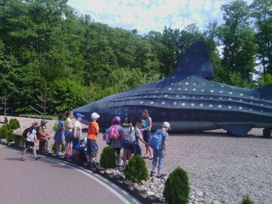 Grafika #6: WYCIECZKA DO FOKARIUM W SARBSKU grafika