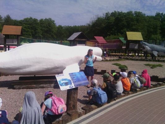 Grafika #8: WYCIECZKA DO FOKARIUM W SARBSKU grafika