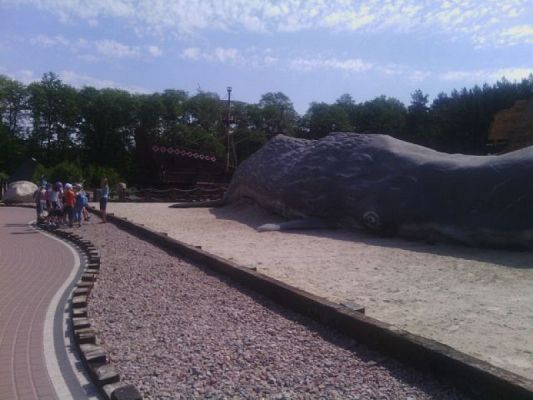 Grafika #7: WYCIECZKA DO FOKARIUM W SARBSKU grafika