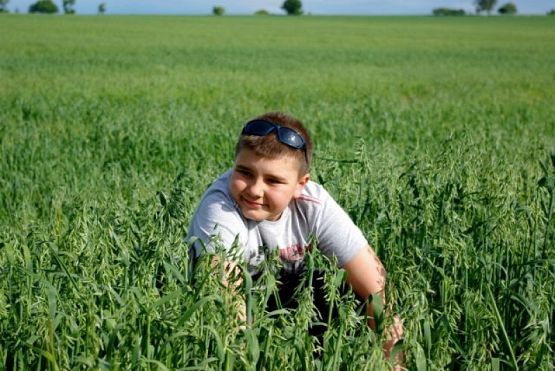 Grafika #11: BIWAK U JĘDRUSIA W SŁAJSZEWIE grafika