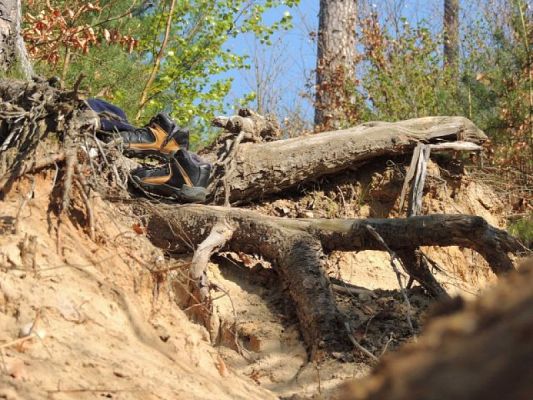  Grafika #1: I MIĘDZYNARODOWY KONKURS FOTOGRAFICZNY "MOJE PASJE" - WYNIKI grafika